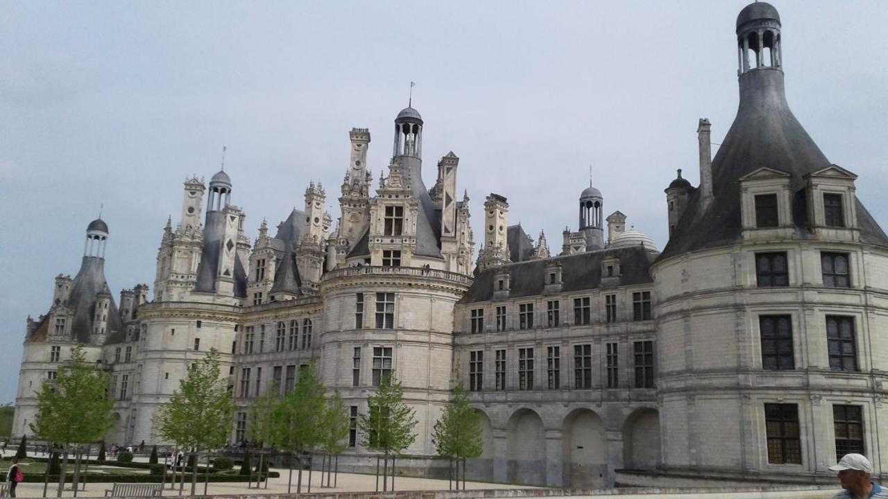 Bed and Breakfast Les Hirondelles Onzain Exterior foto
