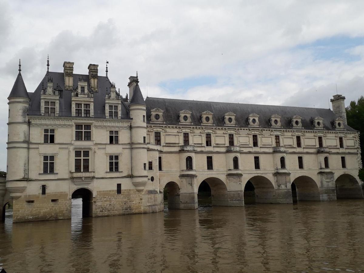 Bed and Breakfast Les Hirondelles Onzain Exterior foto
