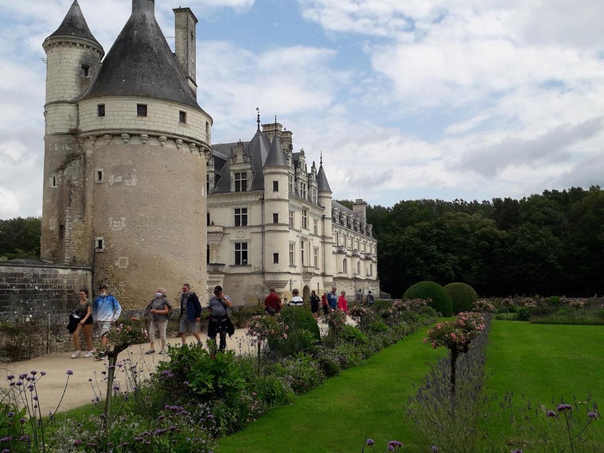 Bed and Breakfast Les Hirondelles Onzain Exterior foto